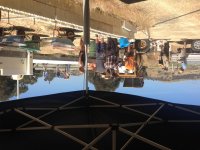 IMG_2654.jpg