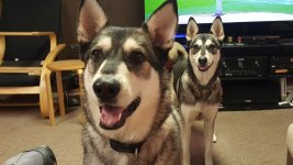 20160529_141315.jpg