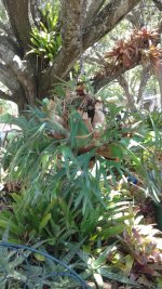 20160716_121940.jpg