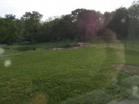IMG_20160531_181958.jpg