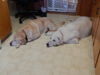 DSCN0529.jpg