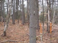 IMG_5272.jpg
