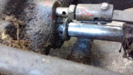 Manley Jack IMG_20160730_193612627.jpg