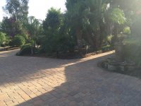 IMG_0278.jpg