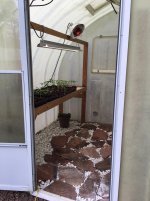 IMG_3071.jpg