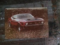mustang 2.jpg