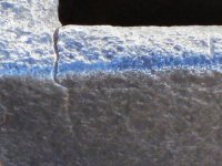 IMG_8329.jpg