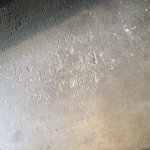 IMG_3583.jpg