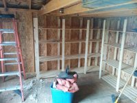 inside shed.jpg