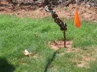 20160731-04.jpg