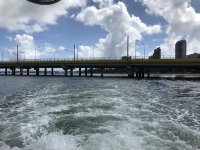 IMG_0238.jpg
