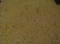 IMG_0704.jpg