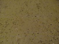 IMG_0705.jpg