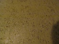 IMG_0706.jpg
