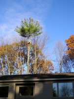 on top of pine 2.jpg