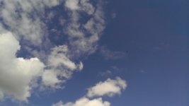 WP_20160425_001.jpg