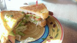 WP_20160128_017.jpg