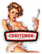 craftsman chick.JPG