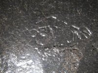 DSCN1743.jpg