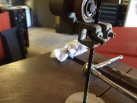 IMG_3365.jpg