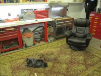 IMG_4901.jpg IMG_4901.jpg