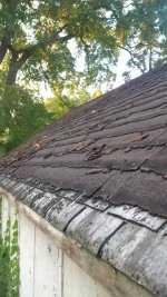 IMG_20161012_180627.jpg