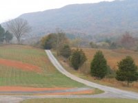 DSCN1288.jpg