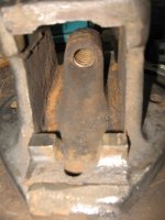 IMG_3880.jpg