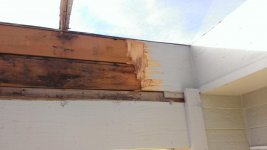 WP_20161110_040.jpg