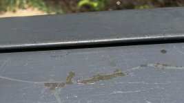 IMG_0029.jpg