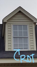 resized-1.jpg