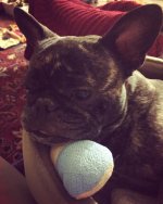 Truffle_dewclaw.jpg