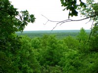 dsc00679.jpg