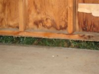 Lifting the Shed 012.jpg