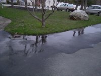 puddle-2.jpg