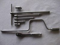 ferret-5.jpg