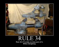 rule34Wilton.jpg