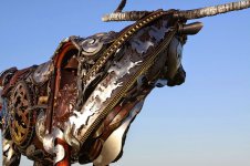 bull1.jpg