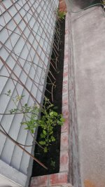 WP_20160602_012.jpg