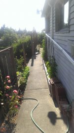 WP_20160731_008.jpg