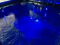 IMG_8875.jpg