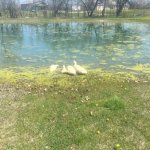 20160417_170110945_iOS.jpg