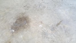 20160801_200403.jpg