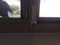 on window.jpg