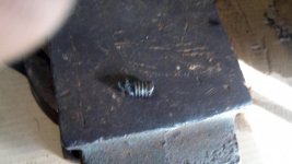IMG_20161004_162652.jpg