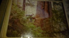 WP_20151225_012.jpg