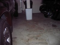 IMG_2559.JPG