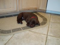 Picture 001.jpg