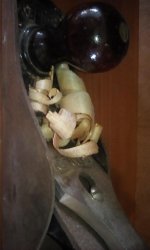 IMG_20170302_123442.jpg