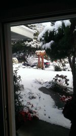 WP_20170101_001.jpg